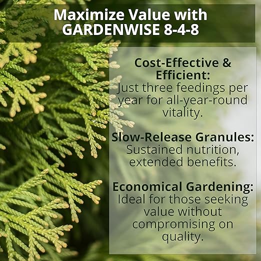 8-4-8 Acidic Fertilizer for Azaleas, Camellias (Camelia), Hydrangeas, Blueberries, Gardenias, Magnolia Trees, Evergreens, and Rhododendrons - Ideal Iron-Rich Plant Food (2 QUARTS)