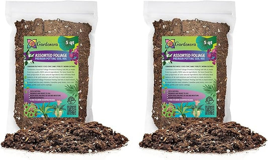 Assorted Foliage Potting Soil - All-Natural Blend for Thriving Diverse Foliage Displays - Enhances Nutrient Uptake - 10 Quart