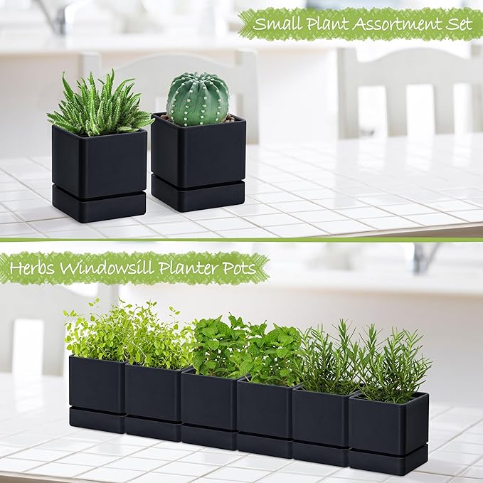 4 Inch Herb Planter Pot, Plastic Planter with Drainage Holes and Saucer, Modern Decorative Gardening Pot for Indoor Plants, Flowers, Herbs, Succulents, Black, Set of 6, 76-Y-B-6