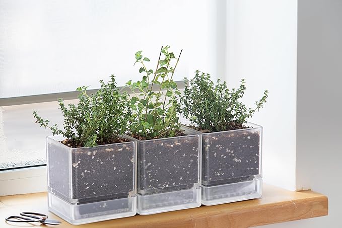 4 Inch Herb Planter Pot, Plastic Planter with Drainage Holes and Saucer, Modern Decorative Gardening Pot for Indoor Plants, Flowers, Herbs, Succulents, Clear, Set of 6, 76-Y-D-6