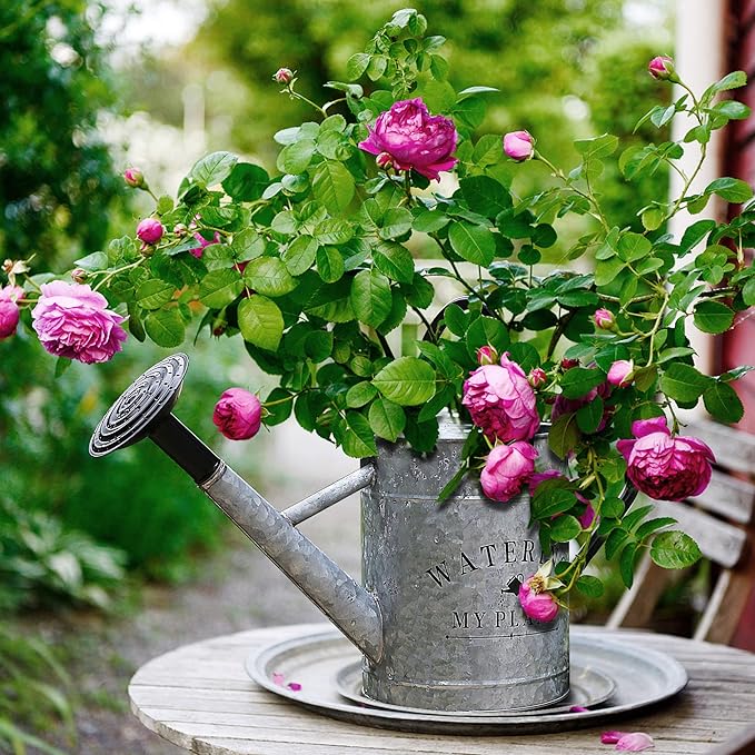 Galvanized Watering Can for Outdoor Indoor Plants, 1 Gallon Decorative Countryside Style Water Can with Removable Spout, Perfect Metal Watering Can for Indoor Plants and Garden Flower