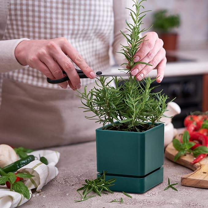 4 Inch Herb Planter Pot, Plastic Planter with Drainage Holes and Saucer, Modern Decorative Gardening Pot for Indoor Plants, Flowers, Herbs, Succulents, Green, Set of 2, 76-Y-C-2