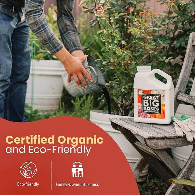Great Big Roses – Soil and Rose Fertilizer Booster to Grow The Best Roses and Flowers; Rose Food Compost Extract for Rose Bush, 2.5 Gallon Concentrate (Makes 80 Gallons)