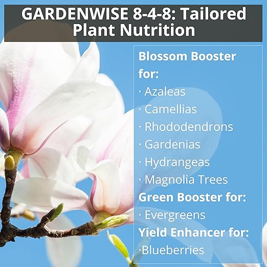 8-4-8 Acidic Fertilizer for Azaleas, Camellias (Camelia), Hydrangeas, Blueberries, Gardenias, Magnolia Trees, Evergreens, and Rhododendrons - Ideal Iron-Rich Plant Food (4 QUARTS)