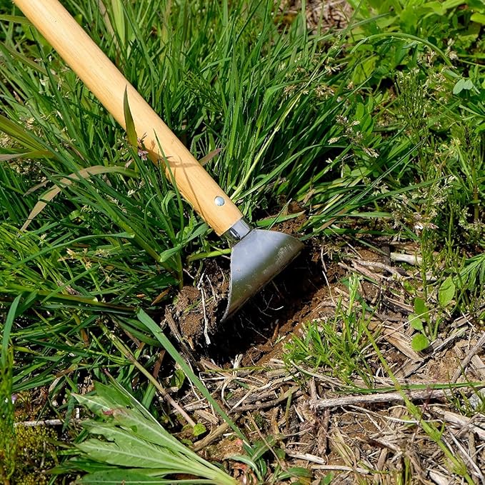 Garden Hoe Long Handle 43" Heavy Duty Japanese Stainless Steel, Made in JAPAN, Draw Hoe Weeding Tool, Stand Up Weeder Hand Tool