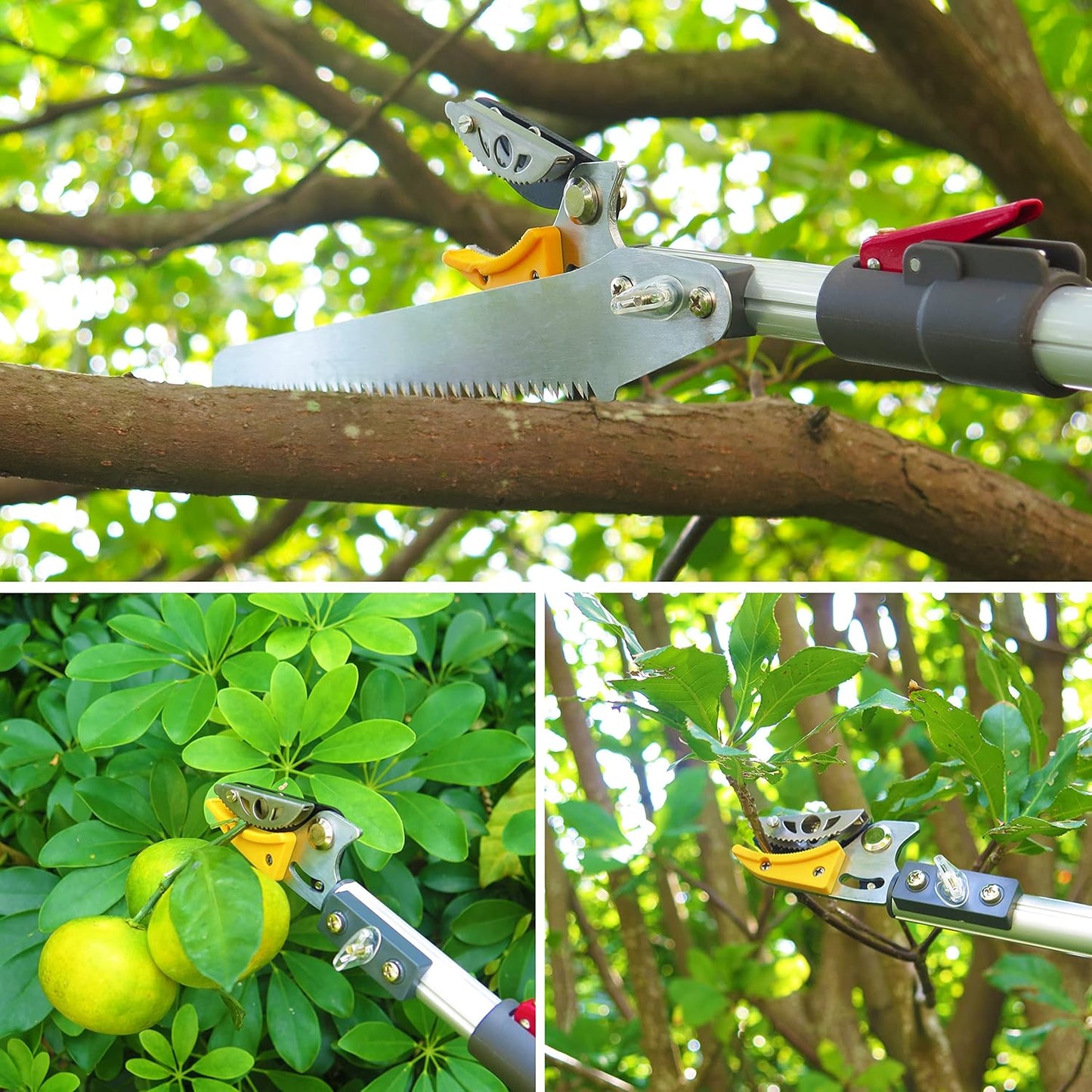 5.6-13 Foot Extendable Tree Pruner, Cut and Hold Pruning Trimmer, Long Reach Pole Saw, Telescoping Fruit Picker, Branches Bypass Lopper