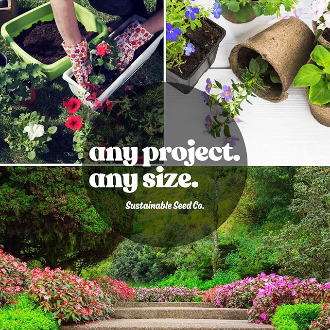 All Annual Wildflower Seeds Mix – 1 lb, 16,000+ Seeds – 21 Flower Varieties Including Poppy, Indian Blanket, Flax – Attracts Pollinators – Bulk Wildflower Seed for Planting