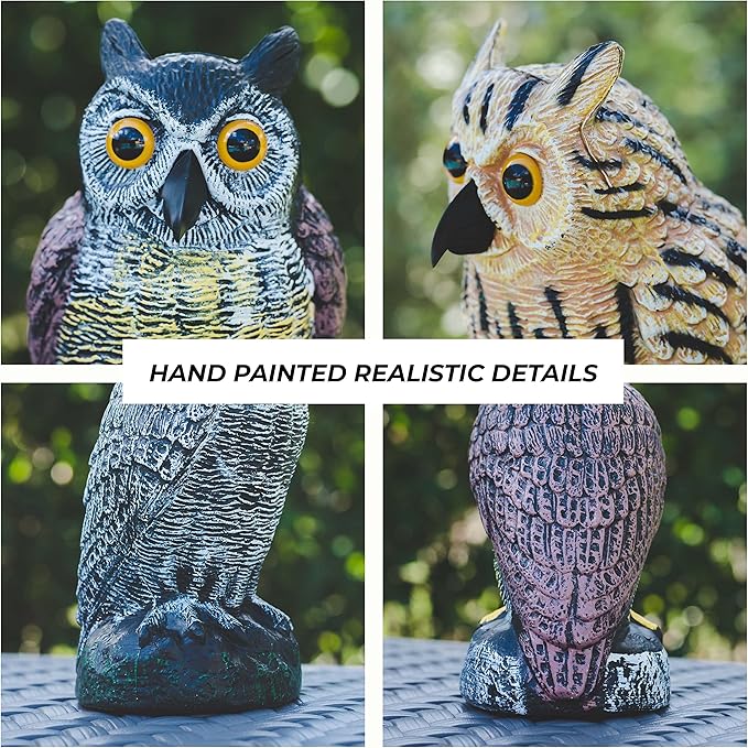 Galashield Owl Decoy | Plastic Fake Owls | Owl Statue for Garden & Outdoors [Set of 3]