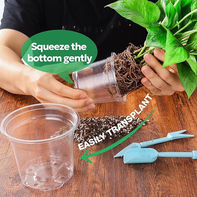 60 Packs 3.5 Inch Reinforced Clear Nursery Pots with Drainage Hole, Transparent Variety Pack Plastic Plant Pot Seedling Planter Seed Starter Flower