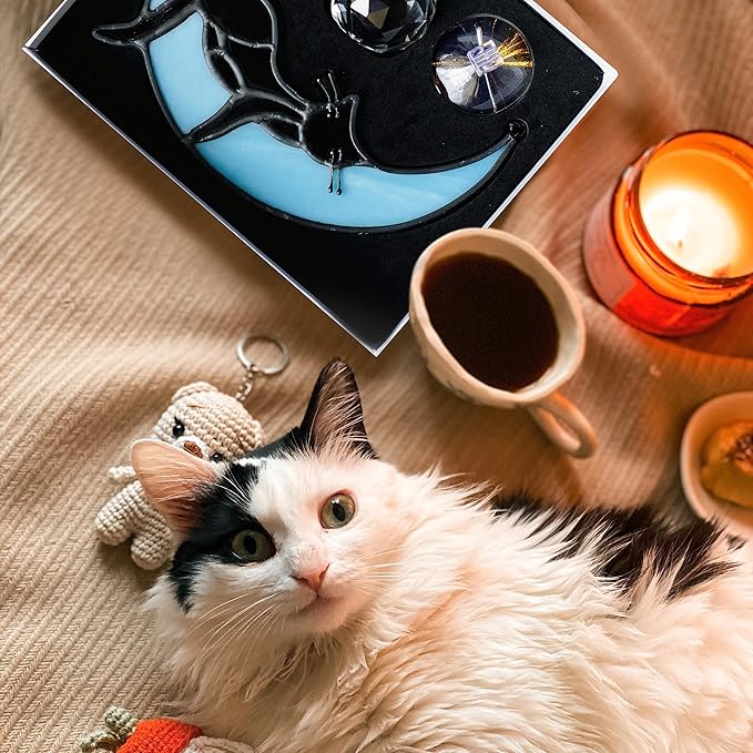 Black Cat Decor On Blue Moon Stained Glass for Window, Crystals Suncatchers for Window Ball Prism Rainbow Maker Chain Easy Hanging, 2 Balls and 1 White Gift Boxe for Cat Lovers Halloween Decor