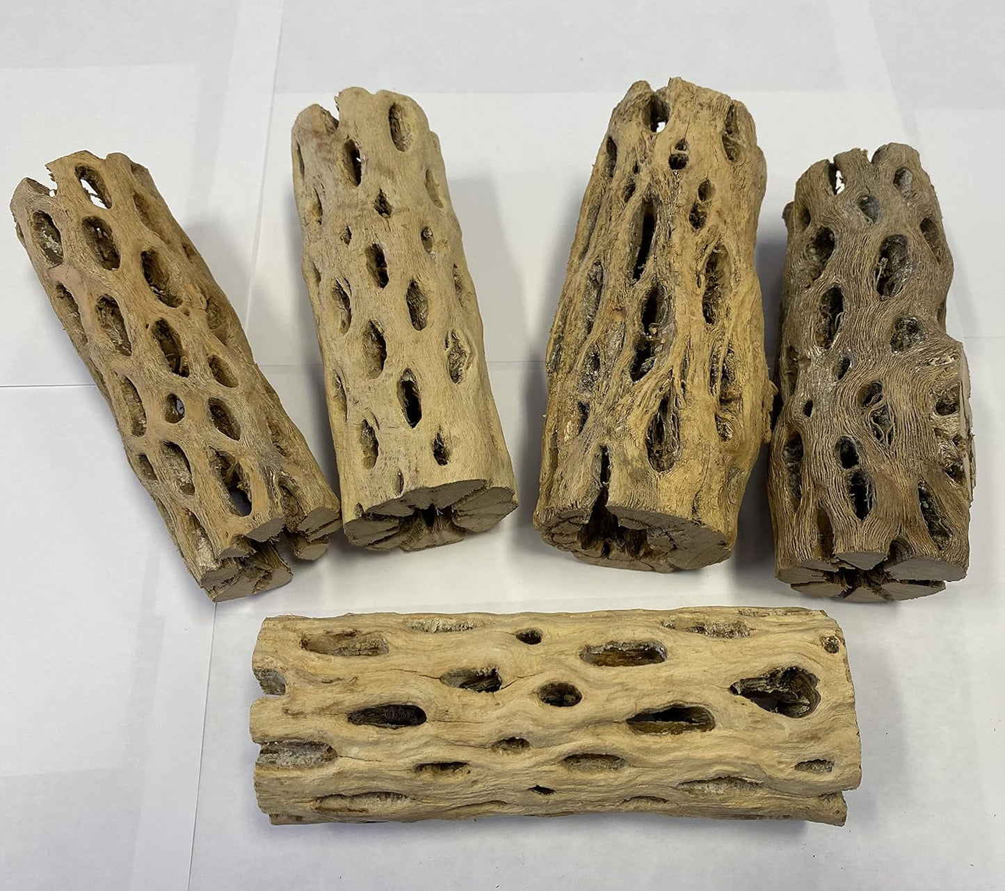 Awesome Aquatic up to 2 in Thick XL Teddy Bear/Chain Fruit/Buckhorn/Staghorn Cholla Wood Hollow Tube Wood Cactus Skeleton Tubes (6 in x up to 2 in)