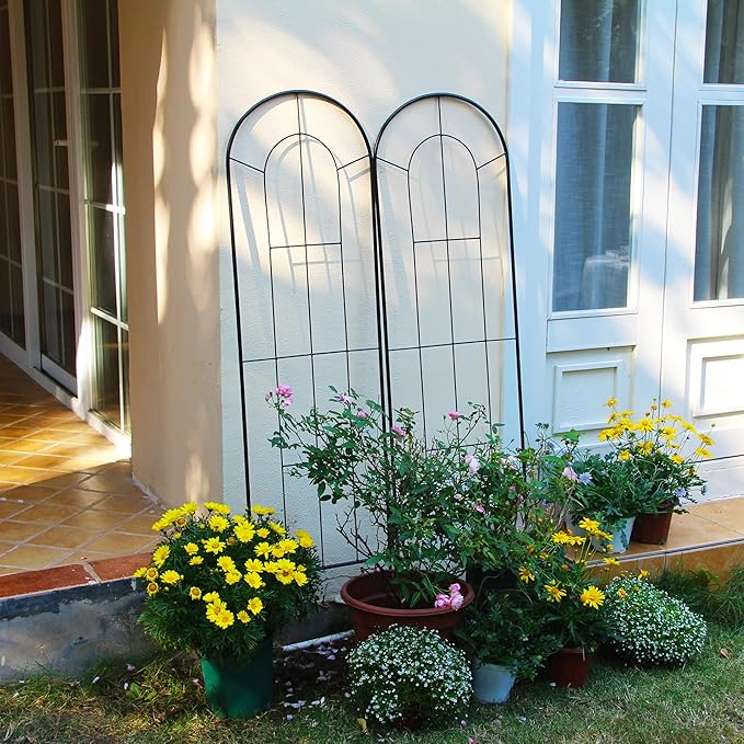 2 Pack Black Garden Trellis for Climbing Plants 59" H x 15.9" W Iron Plant Support Climbing Vines and Flowers Stands Vegetables Patio Metal Lattices Garden Addition Outdoor