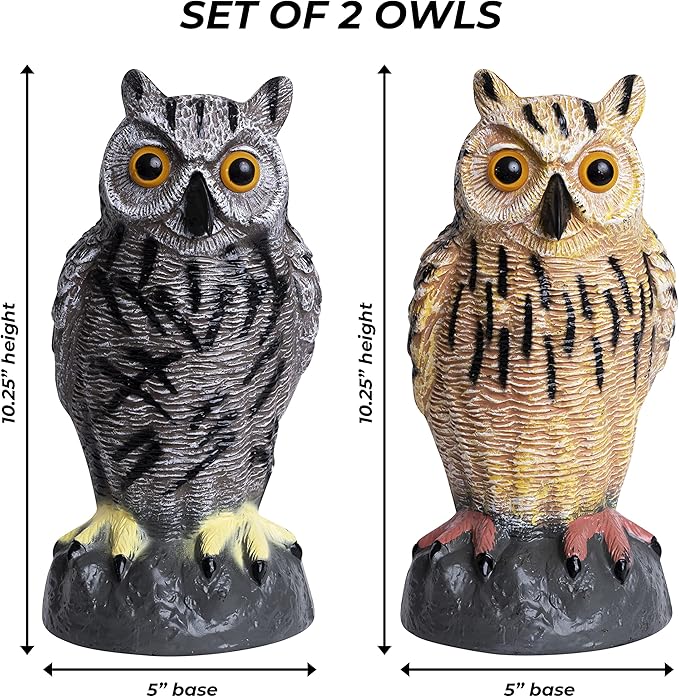 Galashield Owl Decoy to Scare Birds Away | Plastic Owls to Scare Birds Away | Owl Statue for Garden & Outdoors by Galashield [Set of 2]