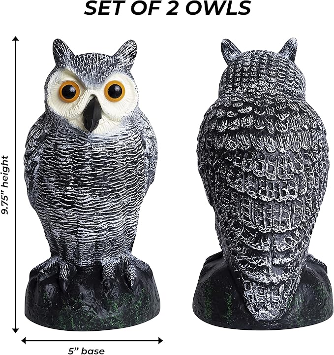 Galashield Owl Decoy to Scare Birds Away | Plastic Owls to Scare Birds Away | Owl Statue for Garden & Outdoors [Set of 2]