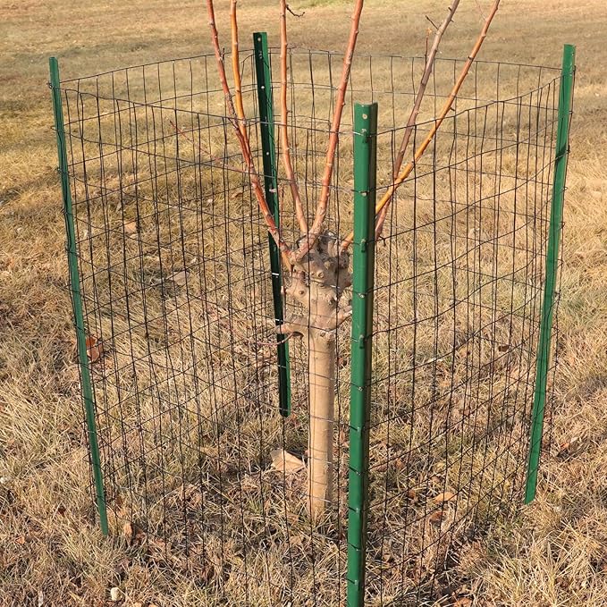 Black PVC Coated Welded Wire Fence 48 Inch x 50 Foot, 2 Inch x 3 Inch 16GA, Garden Border Fencing Roll Vinyl Coating Metal Wire Mesh for Yard Vegetable Plant Protection Poultry Netting