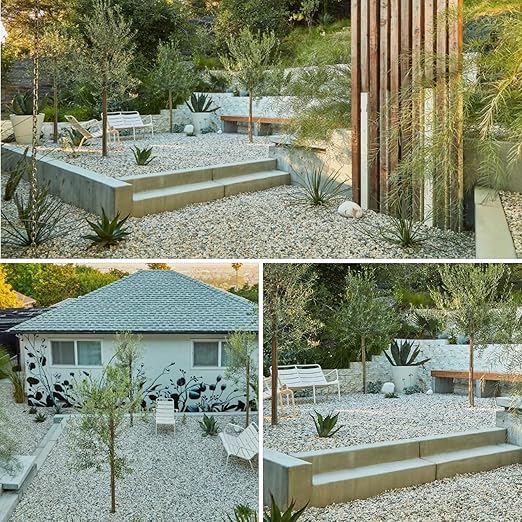 5lbs Mixed Color Pebbles for Plants, 3/8inch Small Rocks for Succulent Cactus Planters, Natural Polished Pebbles, River Rocks for Plants, Vases, Garden