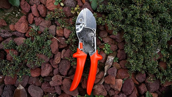 8" Professional Heavy Duty Anvil Pruning Shears with SK-5 Blades, Garden Shears for Dry Stems and Small Branches, Gardening Scissors, Clippers for Wood, Plastic, Rubber, Leather | LFXP1108