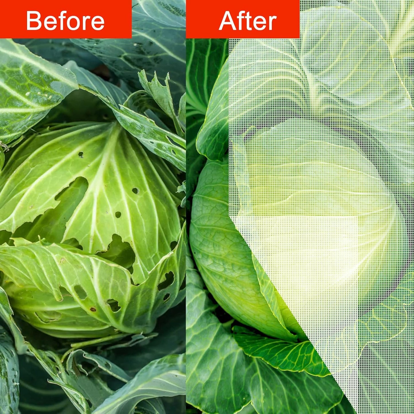 Agfabric Garden Netting 16'x25' Insect Pest Barrier Bird Netting for Garden Protection,Row Cover Mesh Netting for Vegetables Fruit Trees and Plants,White