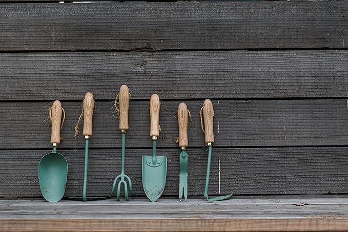 Barebones Garden Scoop - Garden Spoon - Stainless Steel Small Hand Shovel for Transplanting, Digging, and Planting - Great Home Gardening Hand Tools (Ash/Mint)