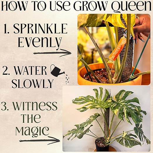 All-in-One Complete Organic Plant Food, Indoor Plant Food for Houseplants, Organic Fertilizer for Vegetable Gardens, 7 Formulated Single Servings Feeds 14 gal Fast and Slow Release