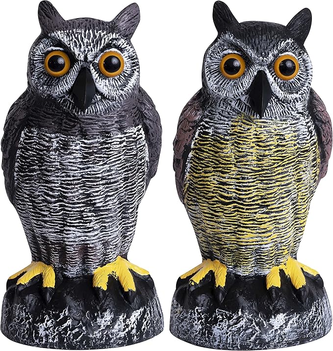 Galashield Owl Decoy to Scare Birds Away | Plastic Owls to Scare Birds Away | Owl Statue for Garden & Outdoors by Galashield [Set of 2]